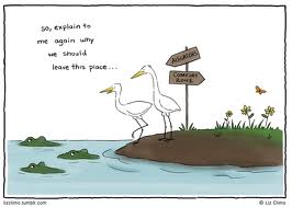 comfortzone2